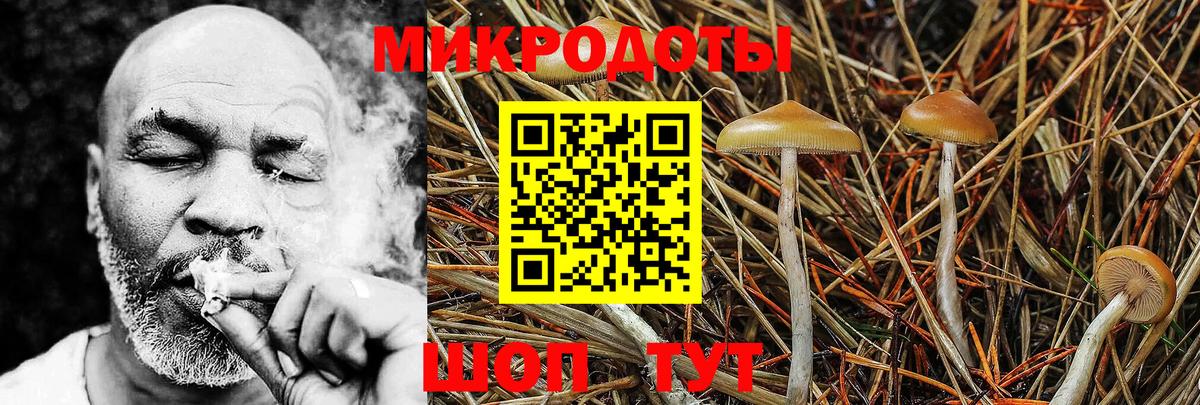 Псилоцибиновые грибы мухоморы Кунгур