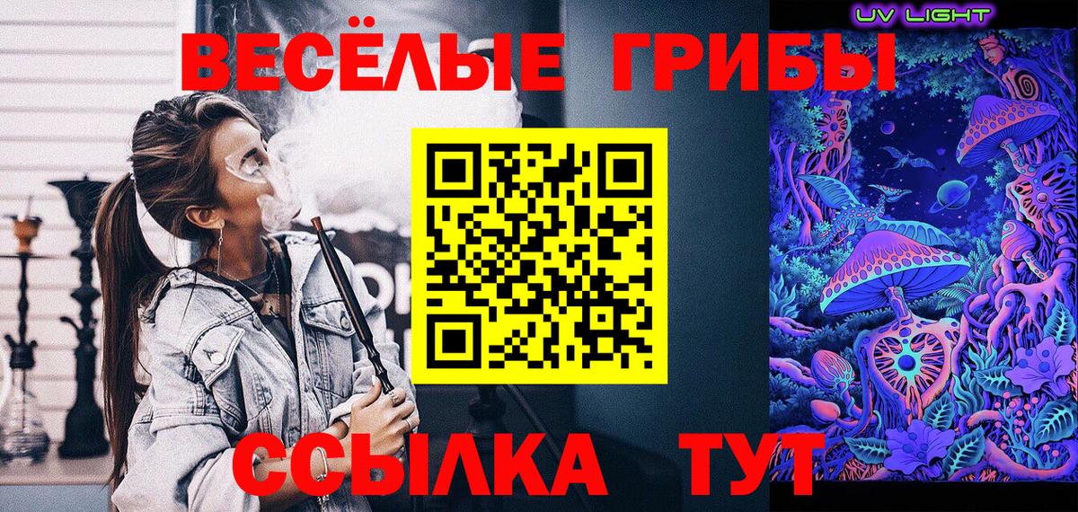 Галлюциногенные грибы Cubensis  Вход с VPN  Кунгур  Псилоцибиновые грибы мицелий 
