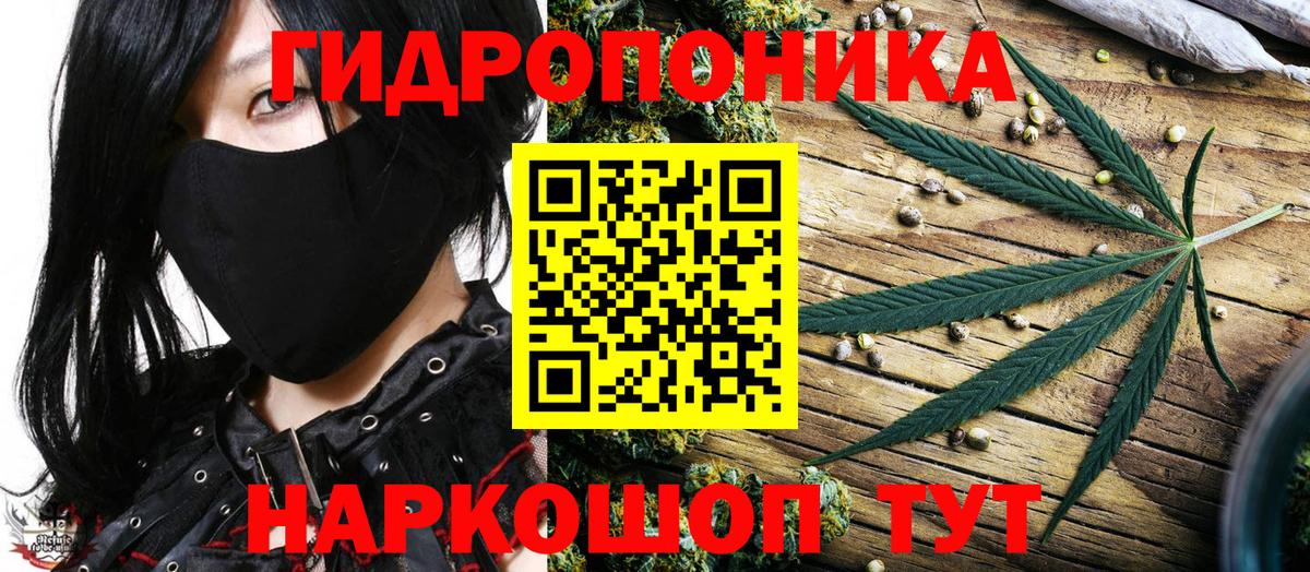 Конопля MAZAR  Вход с VPN  Кунгур  Бошки Шишки гибрид  Шишки марихуана семена 